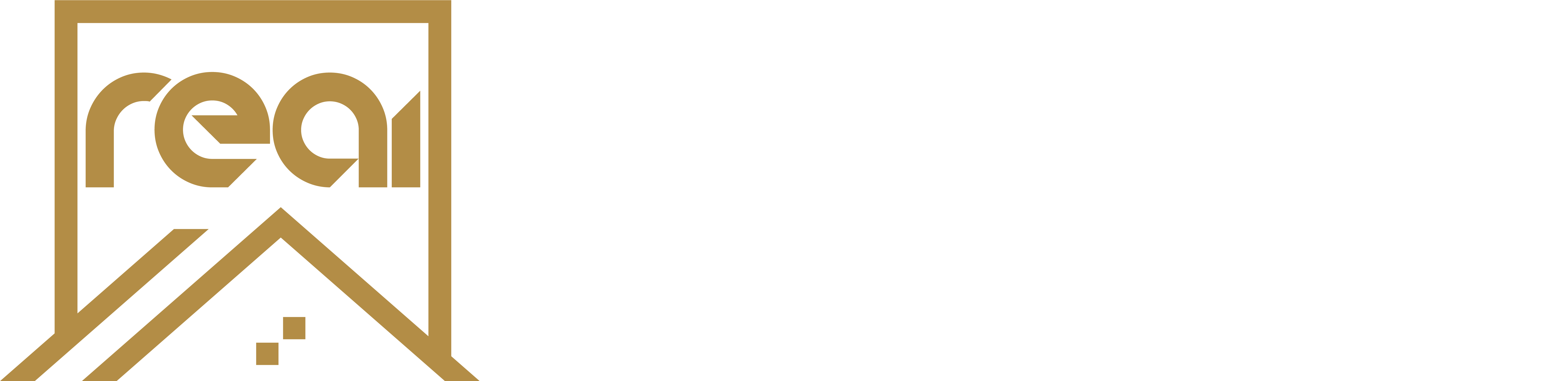 Real Estate Advancement Institute
