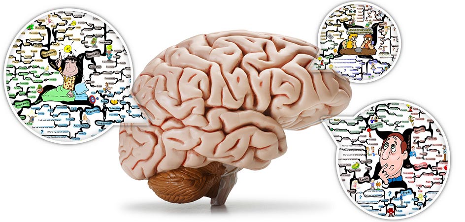 Mastermind Matrix Bundle