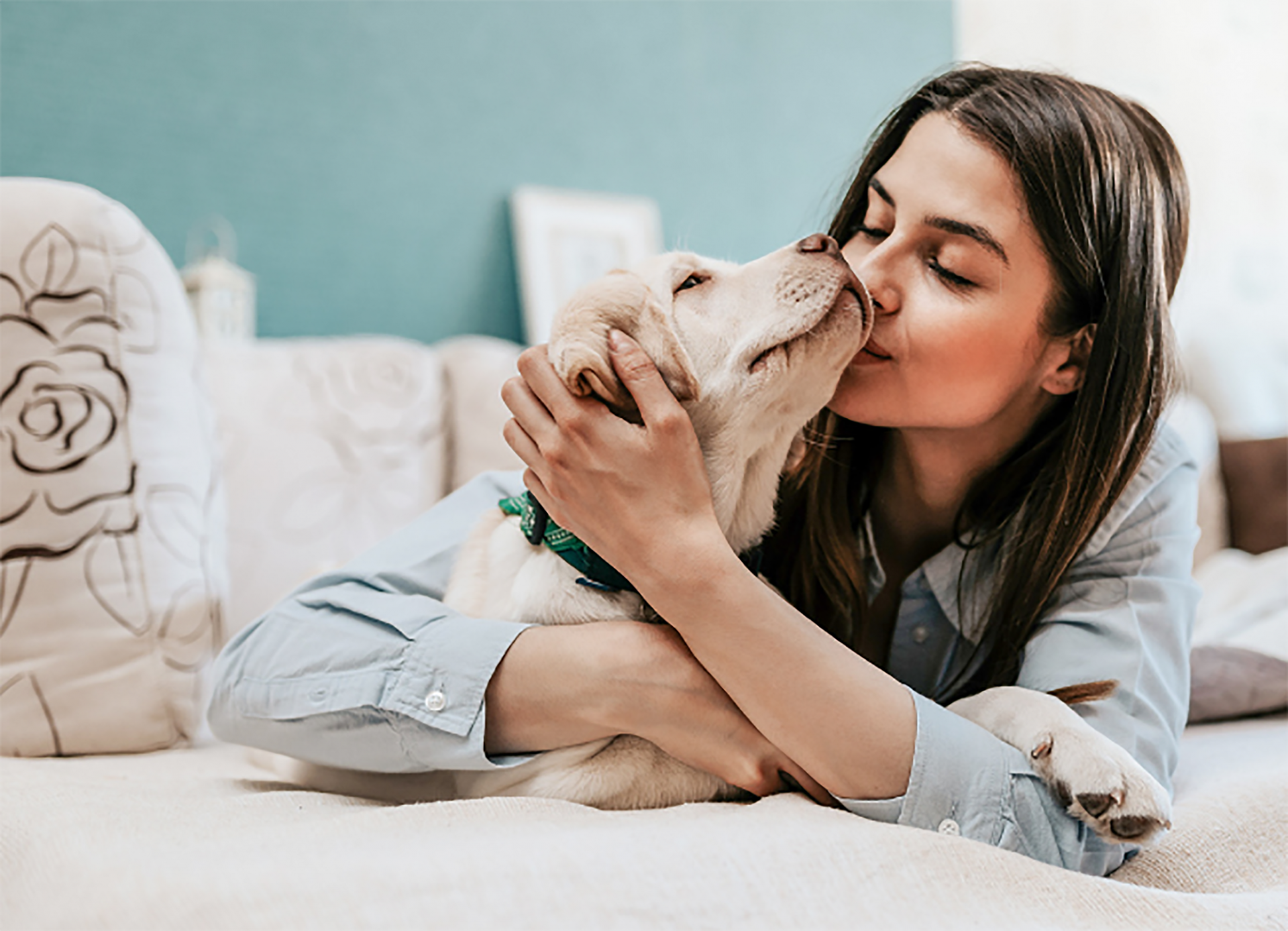 Emotions and How They Affect Our Pets