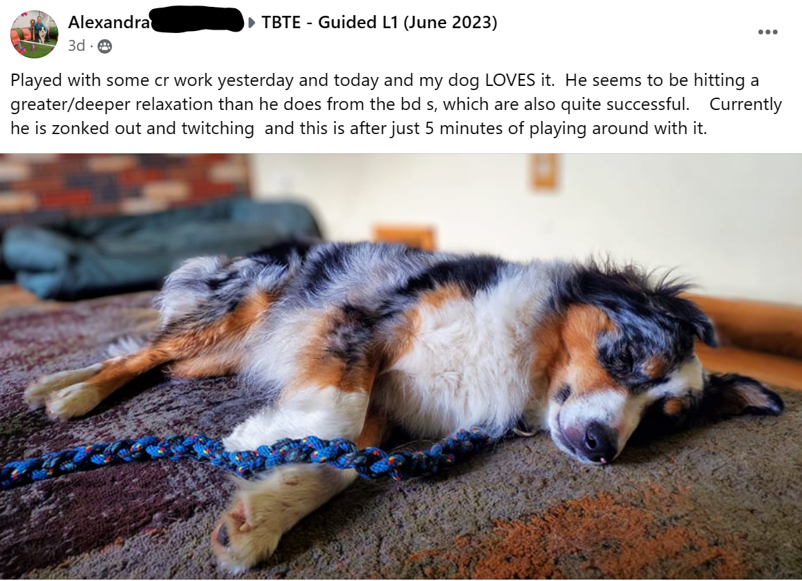 Mastering Conditioned Relaxation with Dogs