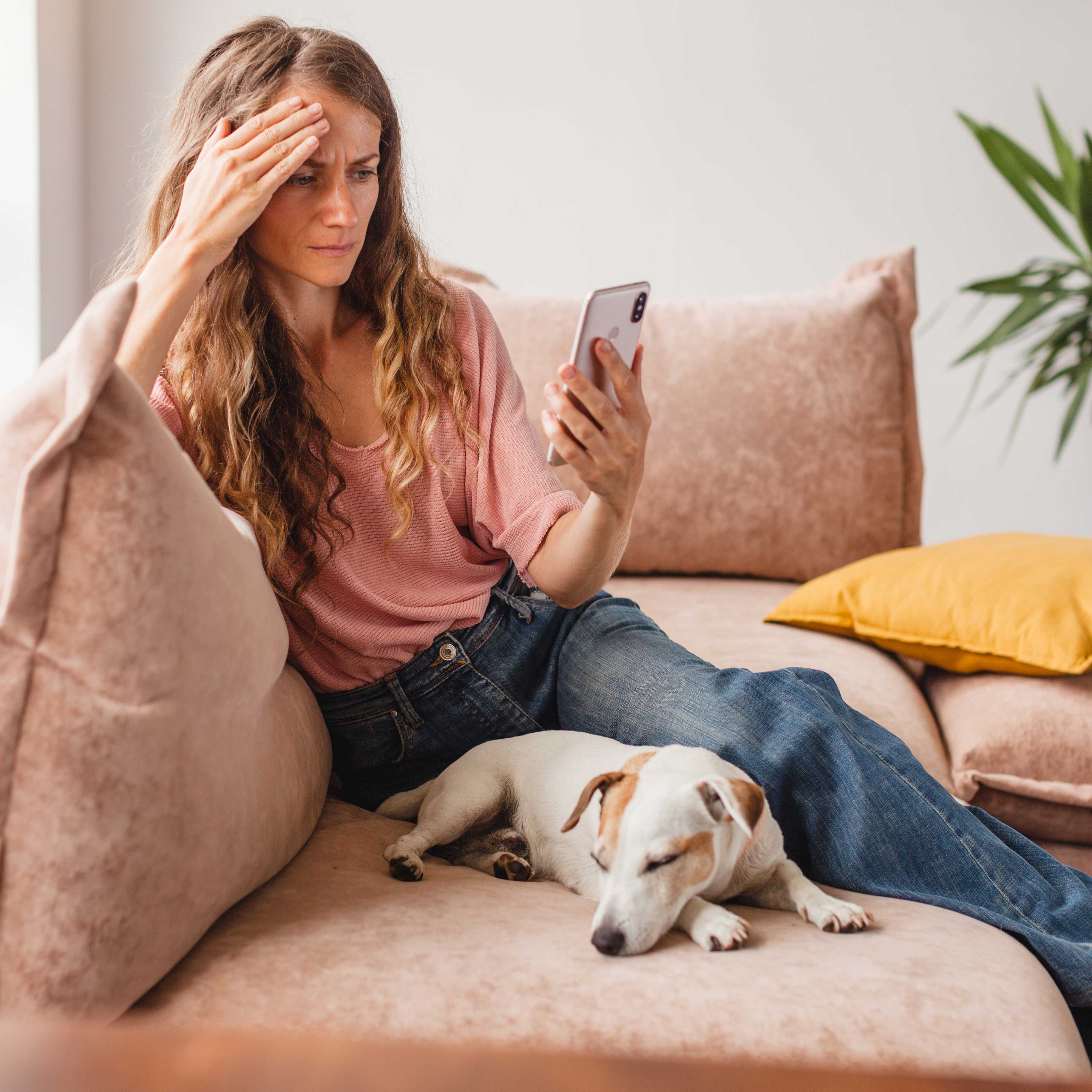 Mastering Conditioned Relaxation with Dogs