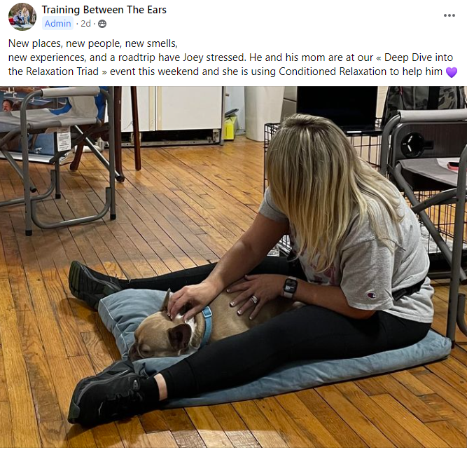 Mastering Conditioned Relaxation with Dogs