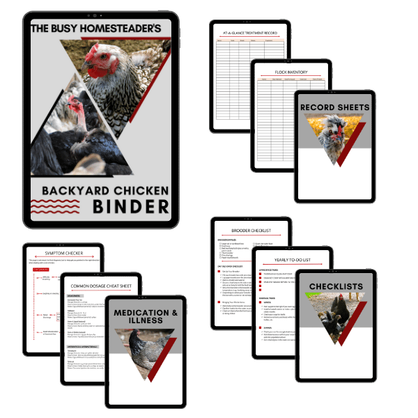 Backyard Chicken Binder Checkout