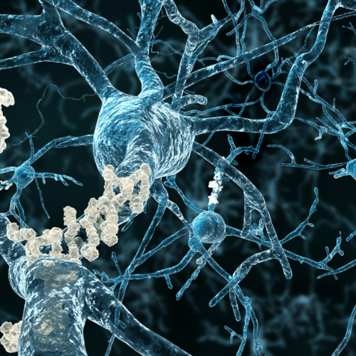 Black Truffle Instant Repair Syringe