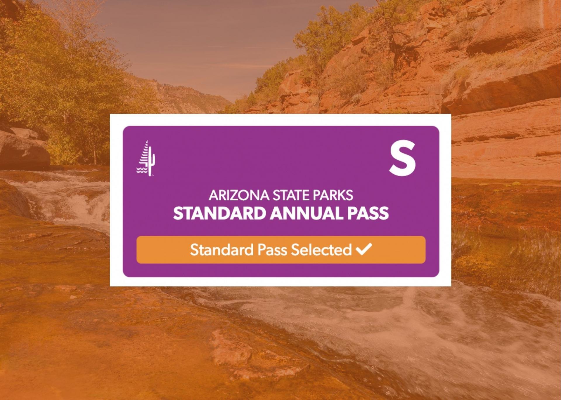 2021 WILDJOY Holiday Experience Gift Guide